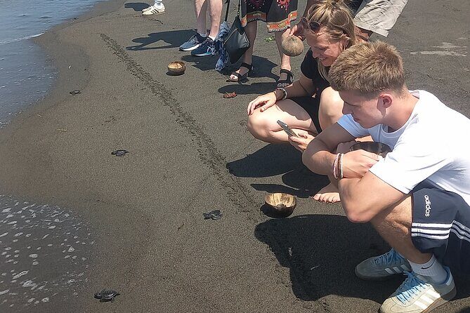 Bali Horse Riding and Turtle Release at Saba Beach - Who Will Love This Tour?