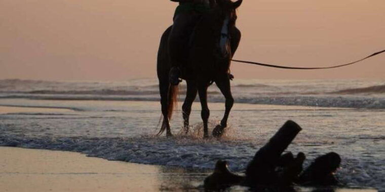 bali-horse-riding-beach-experience-include-transport