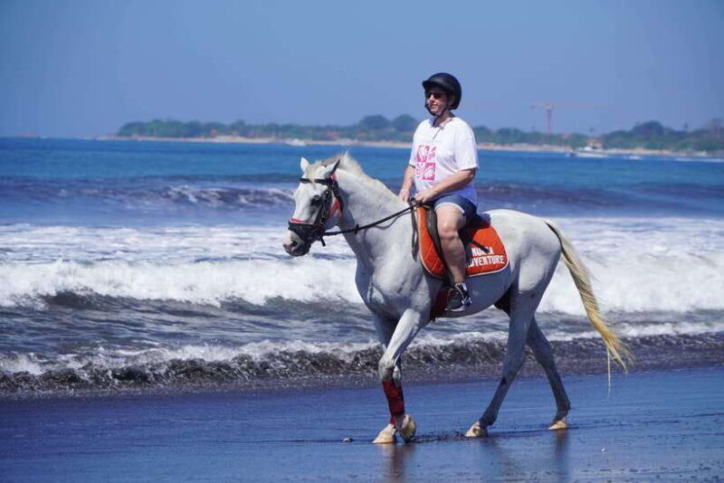bali-horse-riding-experience-in-sanur-1-hour-ride