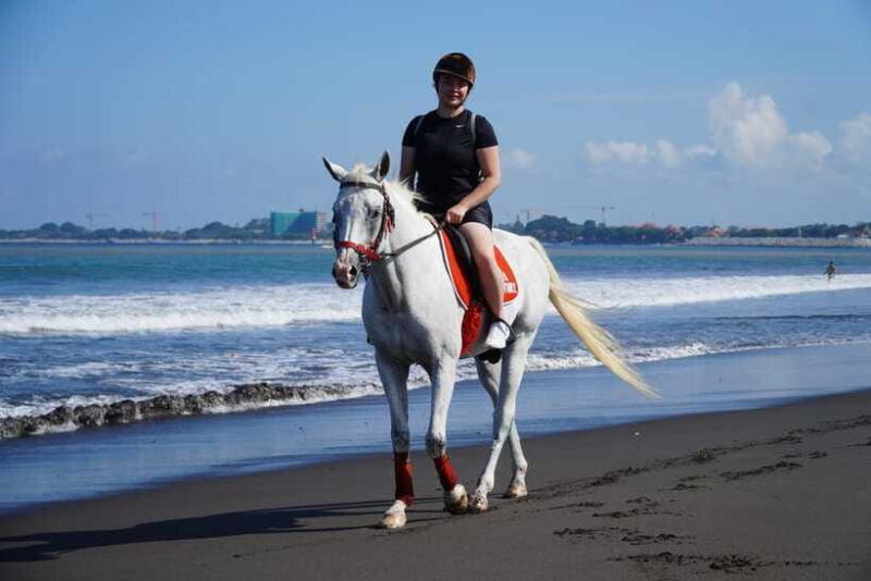 bali-horse-riding-experience-in-sanur-1-hour-ride