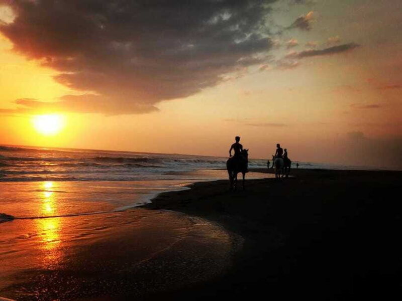 bali-horse-riding-on-pigstone-beach-and-in-the-rice-fields