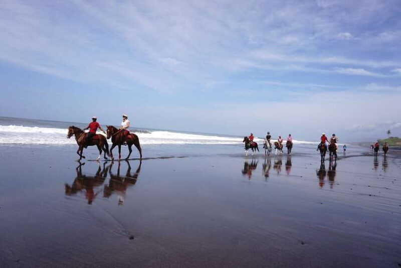 bali-horse-riding-on-pigstone-beach-and-in-the-rice-fields