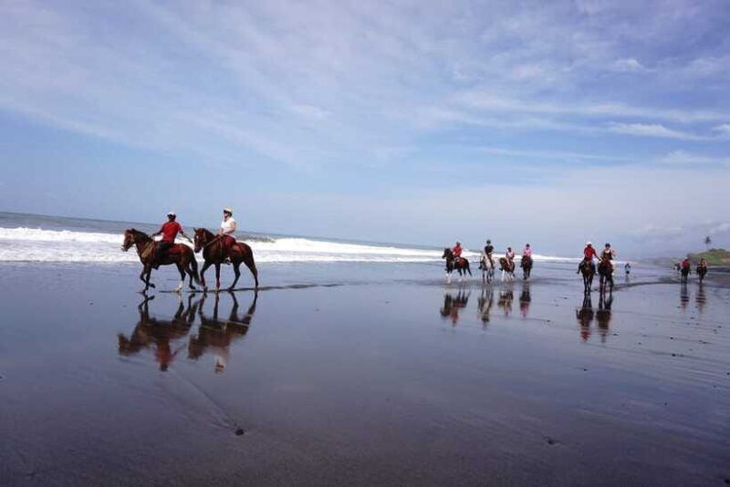bali-horse-riding-on-pigstone-beach-and-in-the-rice-fields