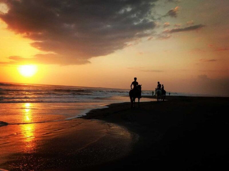 bali-horse-riding-on-pigstone-beach-and-in-the-rice-fields