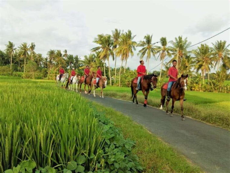 bali-horse-riding-on-pigstone-beach-and-in-the-rice-fields