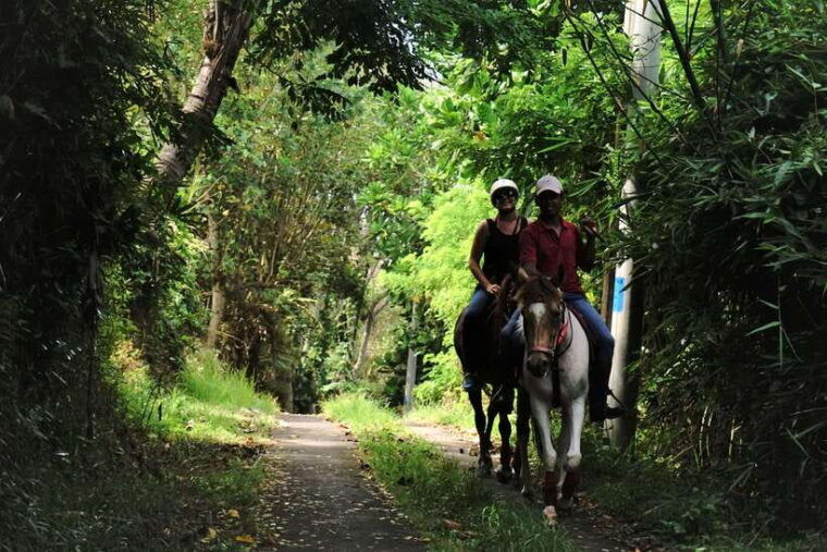 bali-horse-riding-on-pigstone-beach-and-in-the-rice-fields