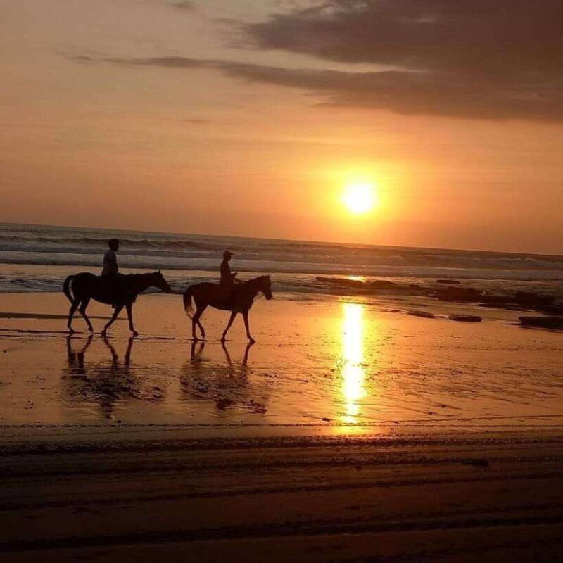 bali-horse-riding-on-the-beach-and-rice-field-tour