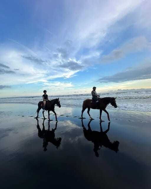 bali-horse-riding-on-the-beach-and-rice-field-tour