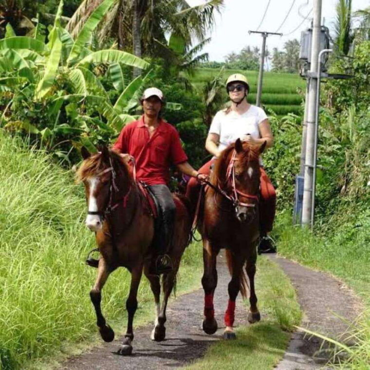bali-horse-riding-on-the-beach-and-rice-field-tour