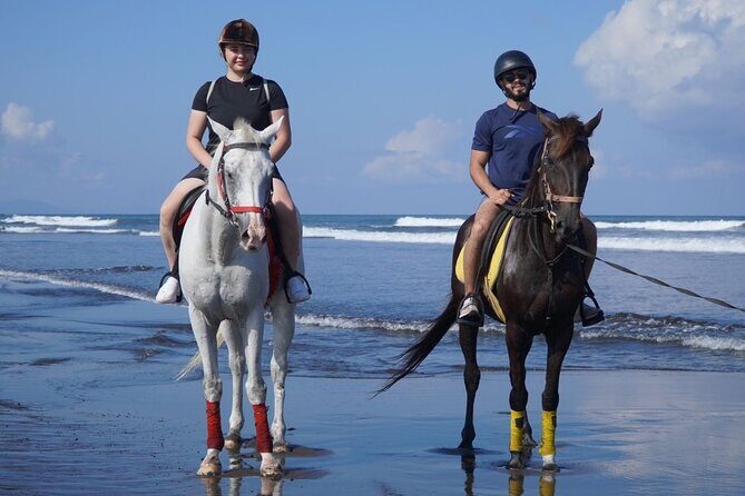 Bali Horse Riding on The Beach Experience - An Honest Look at the Bali Horse Riding Experience