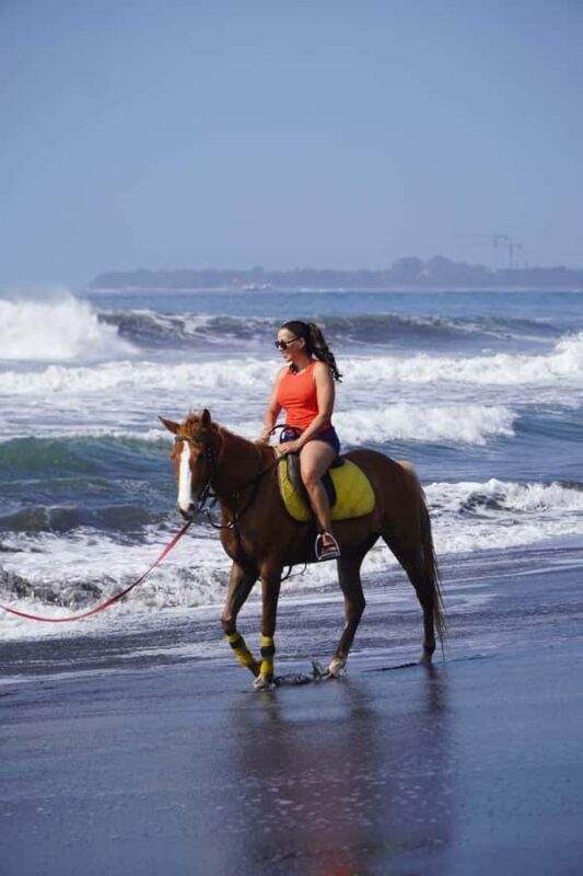 Bali: Horse Riding Sanur Beach Experience with Transport - Key Points