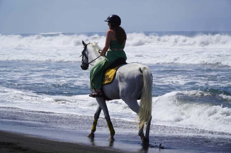 Bali: Horse Riding Sanur Beach Experience with Transport - An In-Depth Look at the Bali Horse Riding Experience