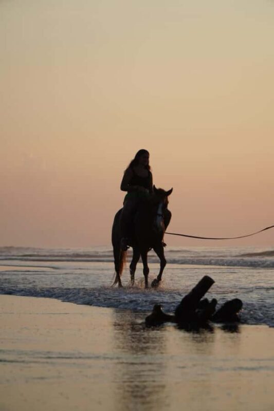 Bali: Horse Riding Sanur Beach Experience with Transport - Final Thoughts: Is This Tour Worth It?