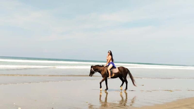Bali: Horse Riding Tour on Seminyak Beach Include Transport - An In-Depth Look at the Seminyak Beach Horse Riding Experience