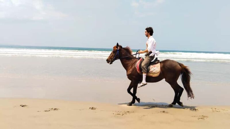 Bali: Horse Riding Tour on Seminyak Beach Include Transport - Who Will Love This Experience?