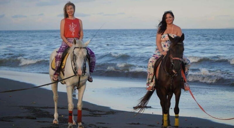 bali-horse-riding-trot-and-canter-on-the-beach-experience
