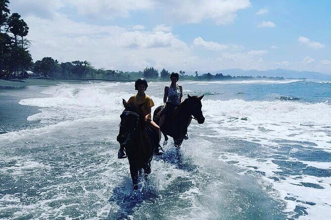Bali Horse Riding Trot & Canter Saba Beach with Local Temple - The Ride: What To Expect