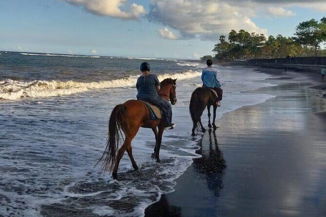 Bali Horse Riding Trot & Canter Saba Beach with Local Temple - Authentic Bali Vibes and Scenic Highlights