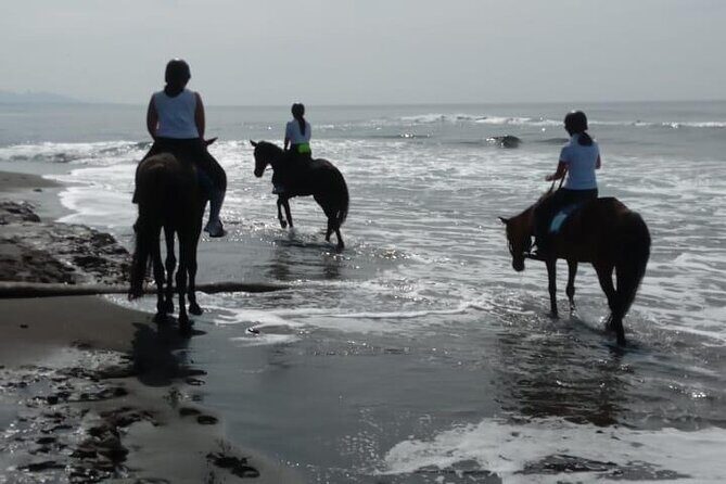 Bali Horse Riding Trot & Canter Saba Beach with Local Temple - Practical Details and Logistics