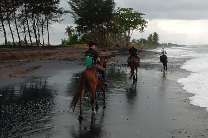 Bali Horse Riding Trot & Canter Saba Beach with Local Temple - The Sum Up