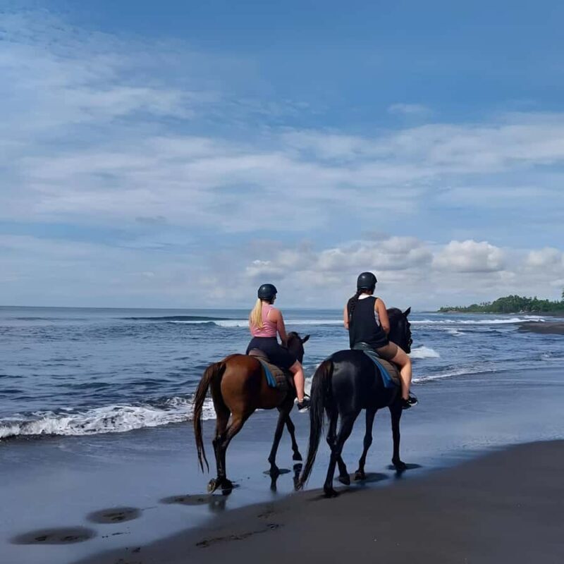 Bali: Horse Riding & Turtle Release Experience at Saba Beach - Coffee Plantation and Optional Bali Swing