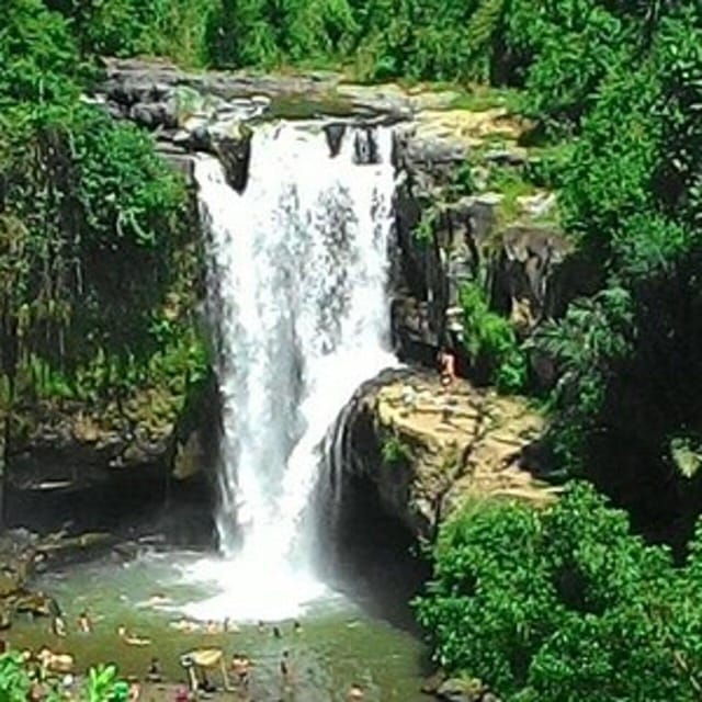 bali-horse-riding-waterfall-rice-terrace-lunch