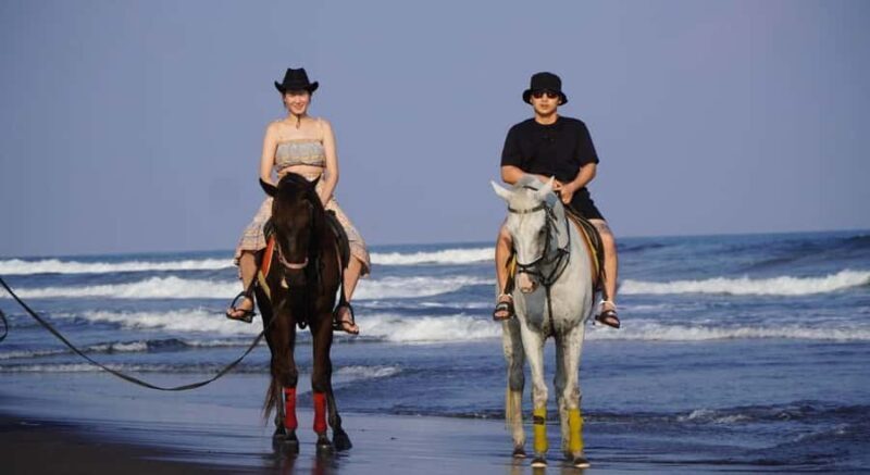 Bali: Horseback Riding Tour with Hotel Transfer - Why This Tour Is Worth Considering