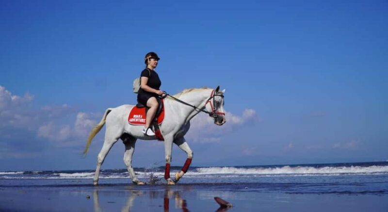 Bali: Horseback Riding Tour with Hotel Transfer - Final Thoughts