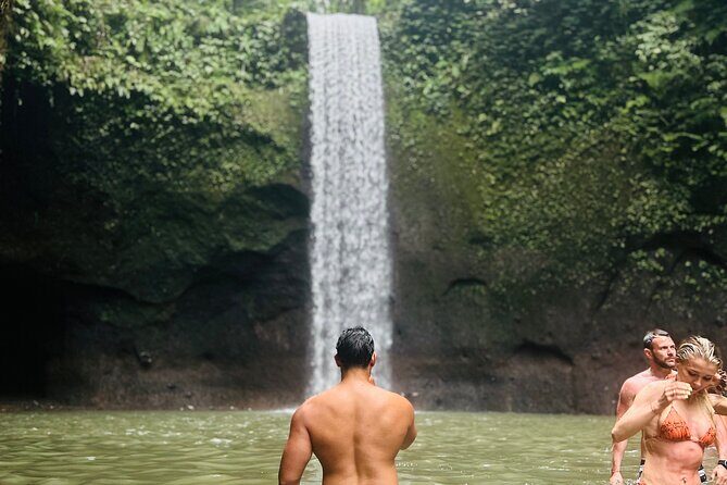 Bali Iconic Waterfalls Private Day Trip with Transport - Who Should Consider This Tour?