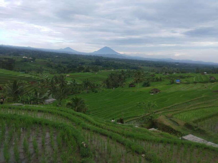 bali-in-1-day-iconic-temples-unesco-sight-all-inclusive