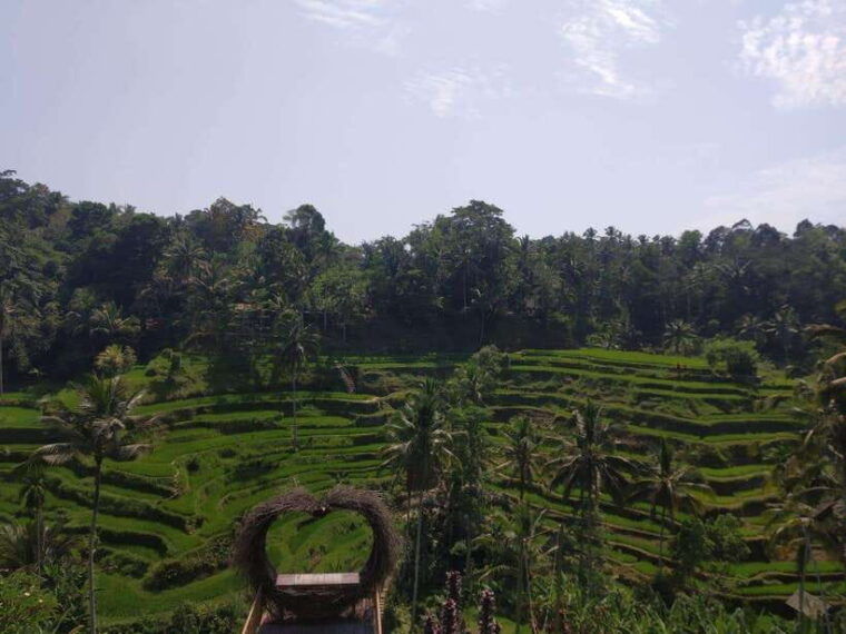 bali-in-1-day-iconic-temples-unesco-sight-all-inclusive