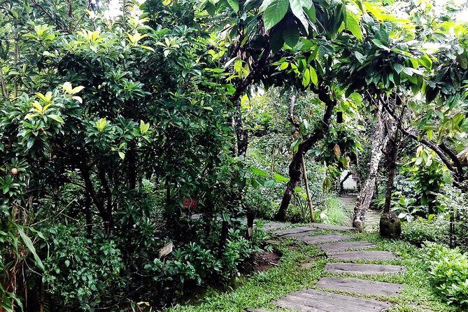 Bali in 1-Day : Rice Terrace, Volcano, Tanah lot - All Inclusive - Who Would Love This Tour?