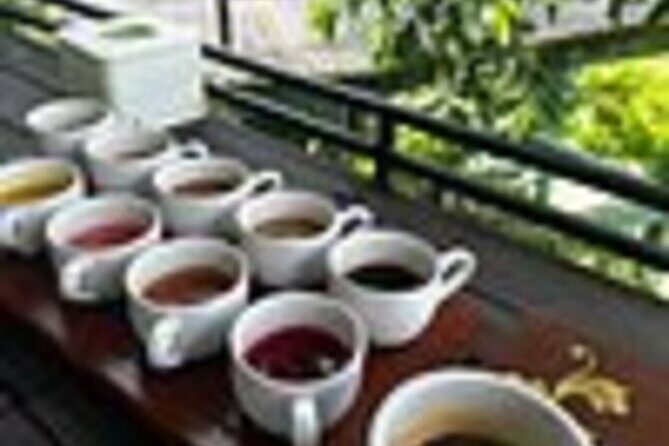 Bali in 1-Day : Rice Terrace, Volcano, Tanah lot - All Inclusive - Final Thoughts