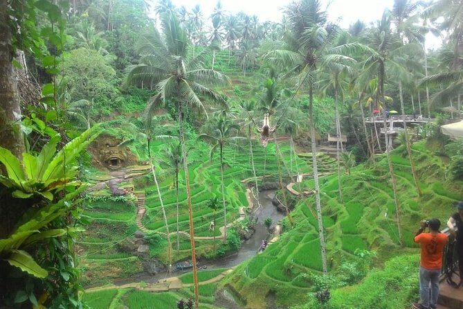 Bali in 1-Day : Rice Terrace, Volcano, Tanah lot - All Inclusive - FAQs