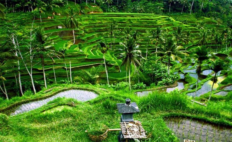 Bali Instagenic Tour - Final Thoughts: Is It Worth It?
