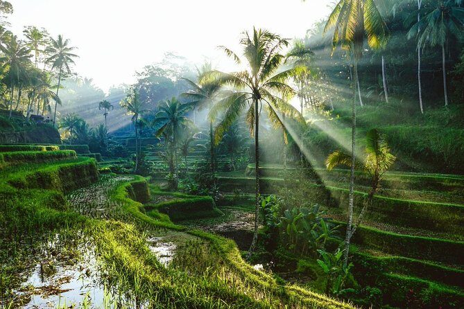Bali Instagram Private Tour - Exploring the Itinerary in Detail