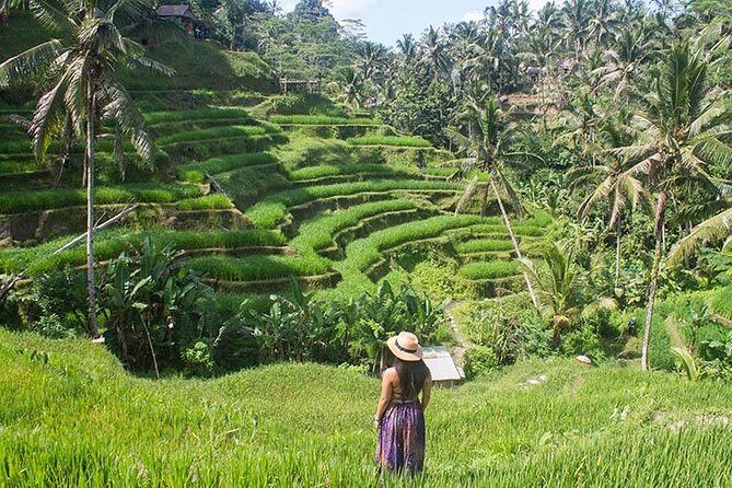 Bali Instagram Tour: The Most Scenic Spots - Who Should Consider This Tour?