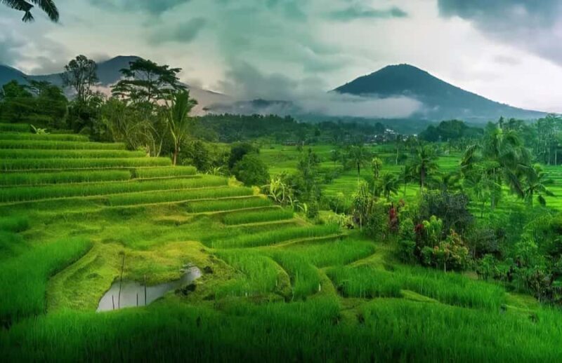 Bali: Jaga Satru Waterfall, Goa Lawah & Sidemen Tour - Explore Bali’s Hidden Treasures: Jaga Satru Waterfall, Goa Lawah & Sidemen Tour