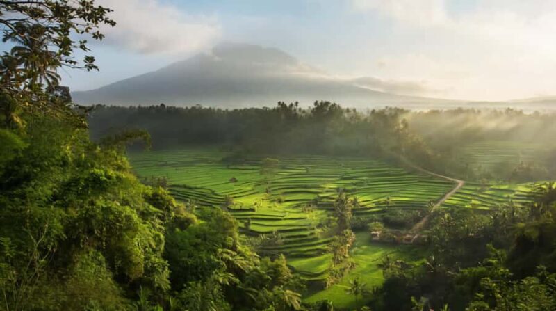 Bali: Jaga Satru Waterfall, Goa Lawah & Sidemen Tour - Key Points