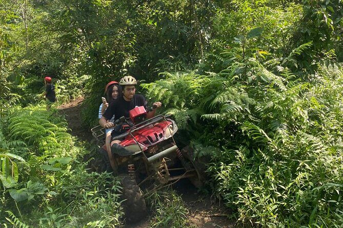 Bali Jatiluwih ATV Ride Jungle Tour - Key Points