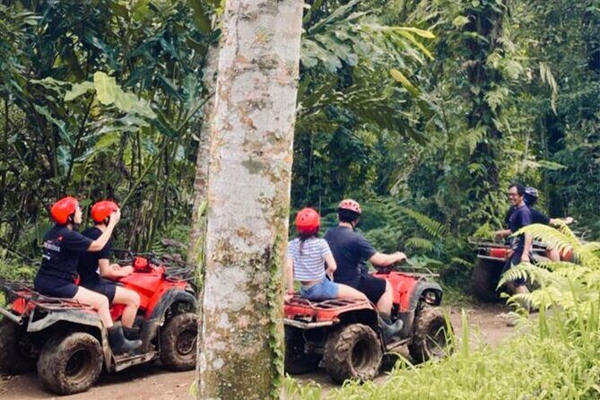 Bali Jatiluwih ATV Ride Jungle Tour - Authentic Insights from Travelers