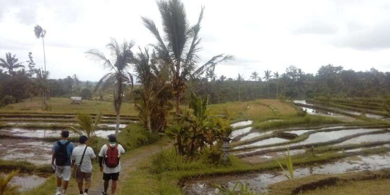bali-jatiluwih-full-day-e-bike-and-trekking-tour