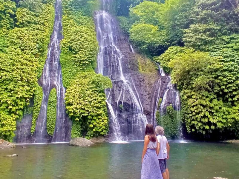 Bali: Jatiluwih Rice Terrace, Temple & Waterfall Tour - Exploring the Day in Detail