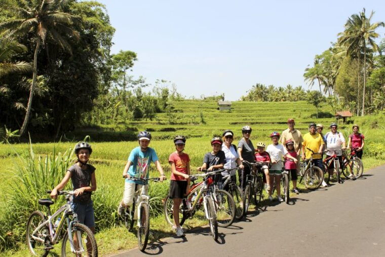 bali-jatiluwih-rice-terraces-1-hour-electric-bike-tour