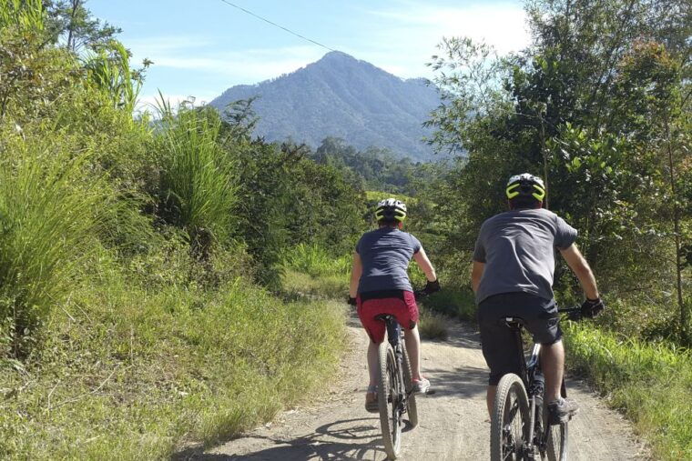 bali-jatiluwih-rice-terraces-1-hour-electric-bike-tour