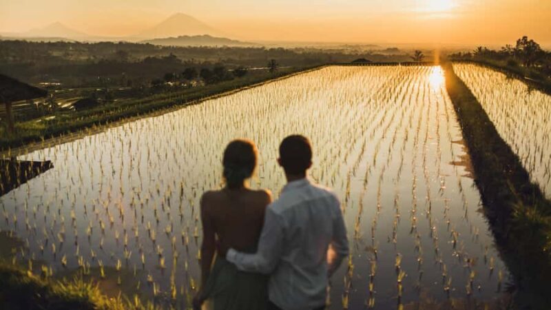 Bali: Jatiluwih Rice Terraces Sunrise guided Walking Tour - Who Is This Tour Best For?