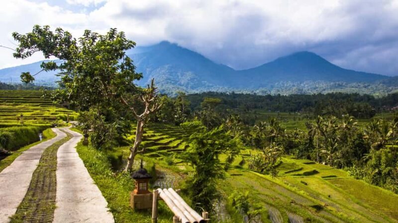 Bali: Jatiluwih Rice Terraces Sunrise guided Walking Tour - Final Thoughts