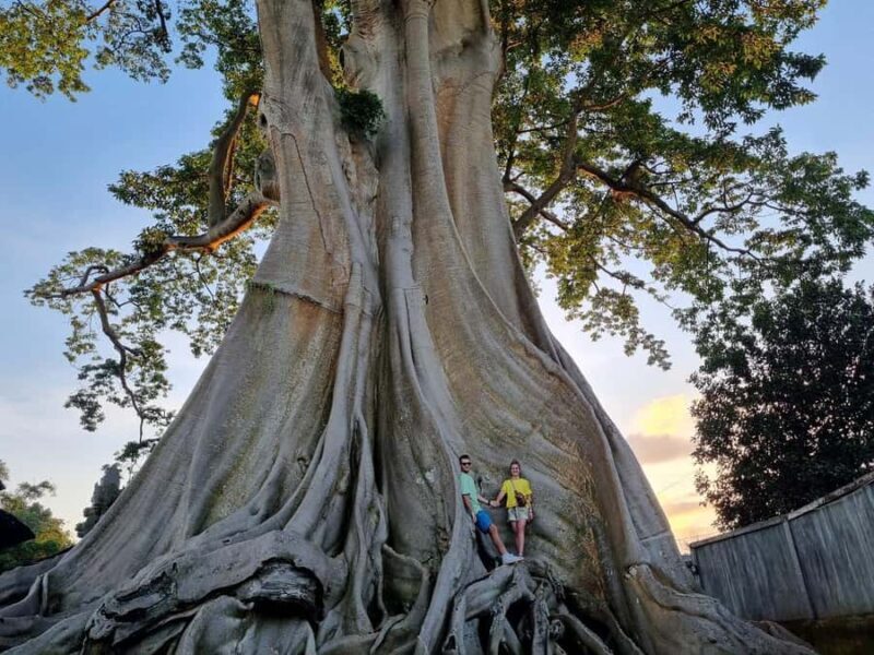 Bali: Jatiluwih Rice Terraces Walking Tour And Tanah Lot - What’s Included & Important Details