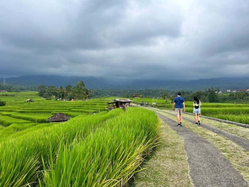 Bali: Jatiluwih Rice Terraces Walking Tour And Tanah Lot - Our Honest Take: Is It Worth It?
