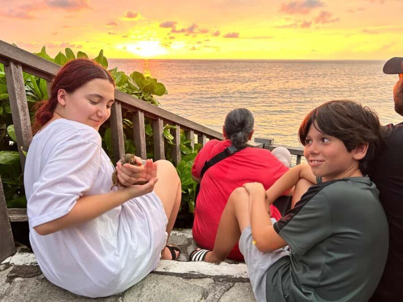 Bali: Jatiluwih Rice Terraces Walking Tour And Tanah Lot - Final Verdict